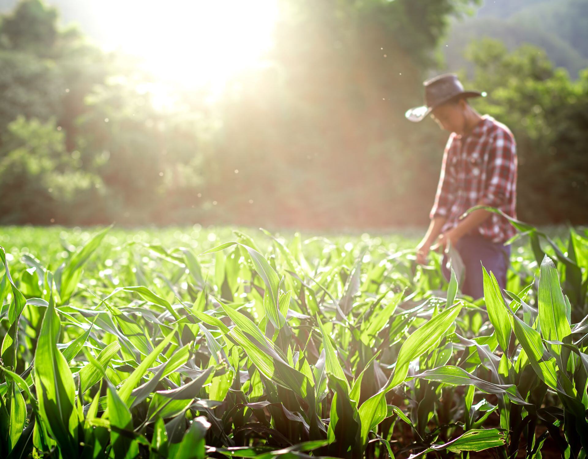 Which biological product can move the needle? This tool makes it easy.